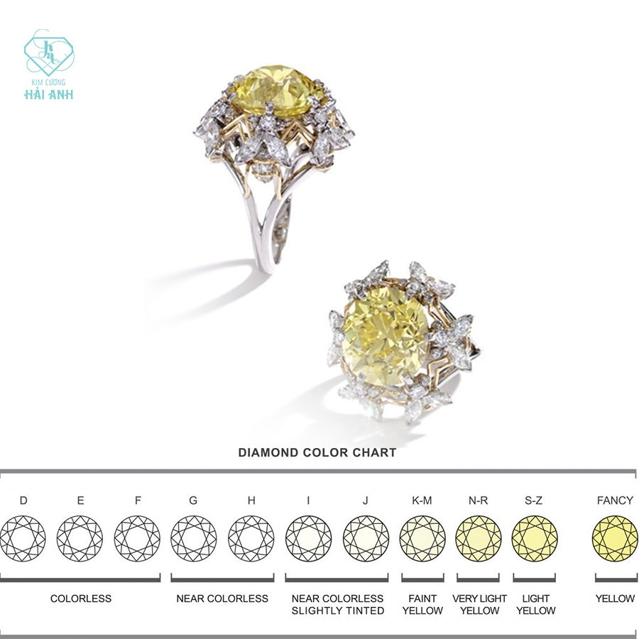 Không có mô tả ảnh.